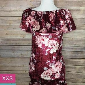 Brand New XXS Lularoe Cici